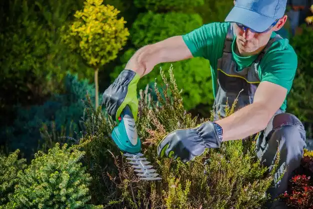 landscaping services Bellefontaine